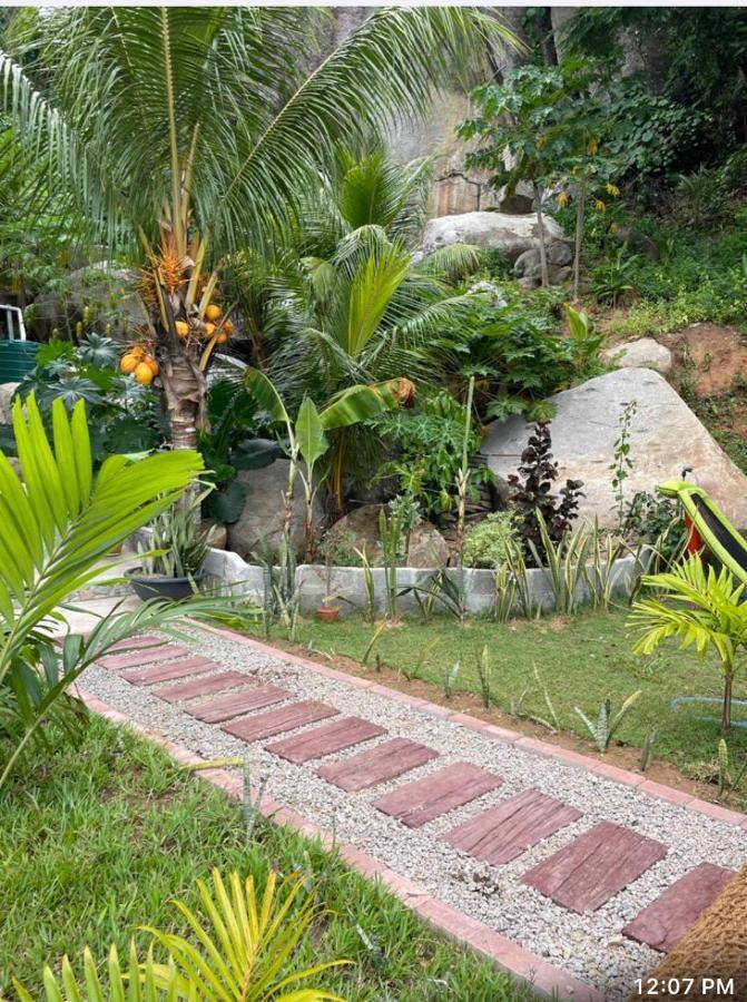 Auguste Holiday Residence Anse Etoile エクステリア 写真