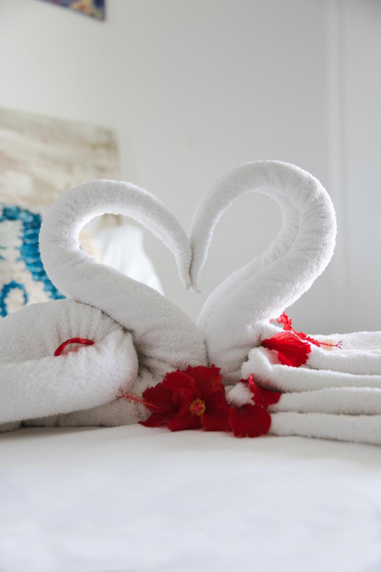 Auguste Holiday Residence Anse Etoile エクステリア 写真