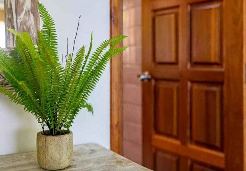 Auguste Holiday Residence Anse Etoile エクステリア 写真